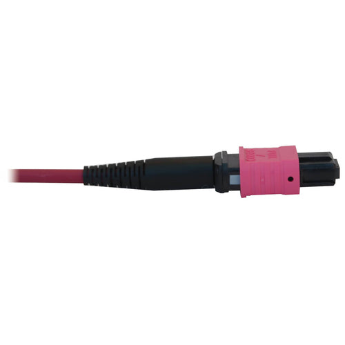 Tripp Lite N845B-10M-12-MG InfiniBand/fibre optic cable