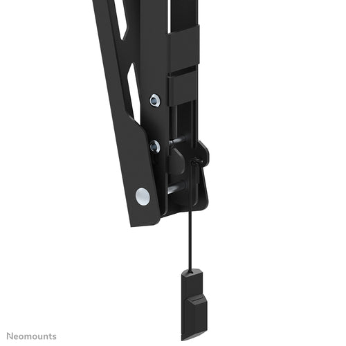 Neomounts WL35-550BL12 TV mount/stand