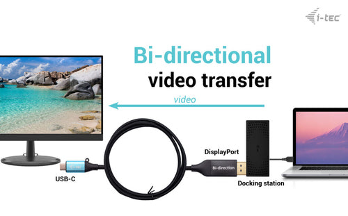 i-tec C31CBLDP8KBIDIR video cable adapter