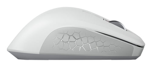 CHERRY JW-8550-0 mouse