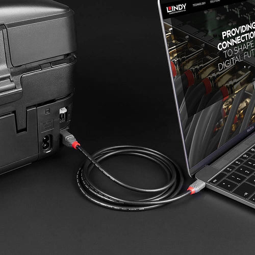 Lindy 36942 USB cable