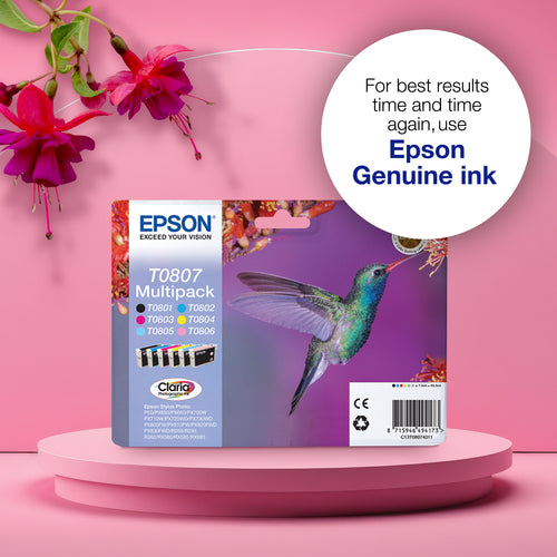 Epson Hummingbird T0805 ink cartridge
