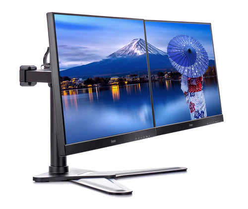 iiyama DS1002D-B1 monitor mount / stand
