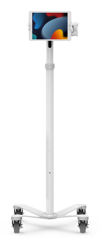 Compulocks MCRSTDEXWUCLGVWMW multimedia cart/stand