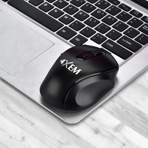 4XEM 4XWLSMS1 mouse