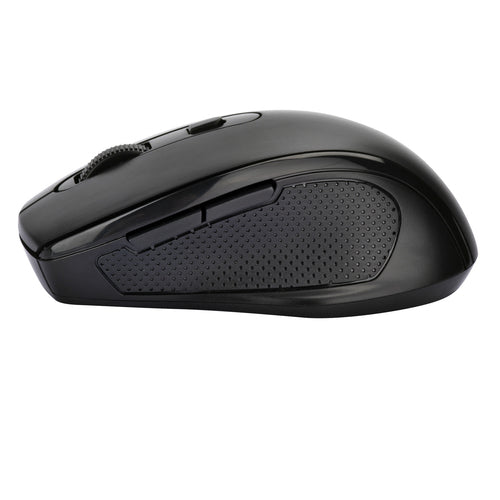 4XEM 4XWLSMS1 mouse