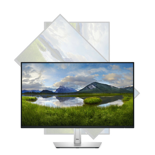 DELL Pro Plus P2425H Computermonitor