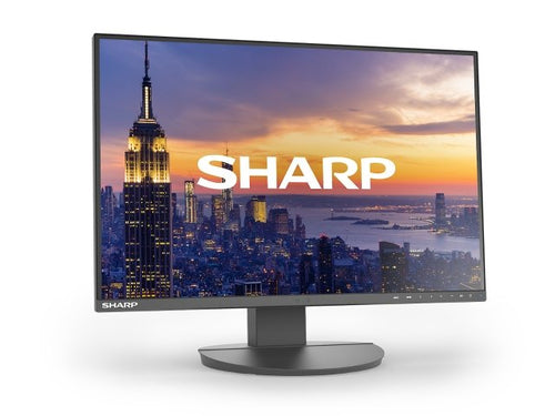 Sharp DD-EA242W computer monitor