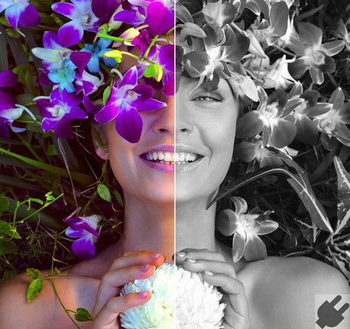 Graphic Editor Corel AfterShot Pro 3 ESD English Japanese German Full Windows 10