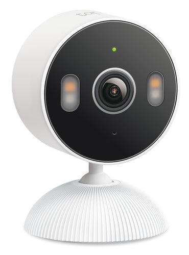 TP-Link Tapo C113 security camera