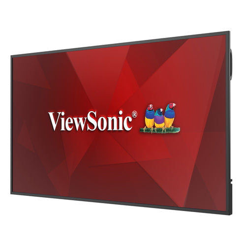 Viewsonic CDE6531 Signage Display