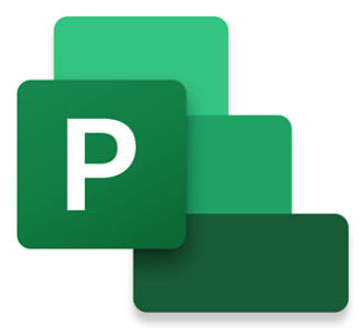 Microsoft Project Professional 2024