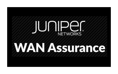 Juniper S-WAN-A1-25M-1 Softwarelizenz/Upgrade