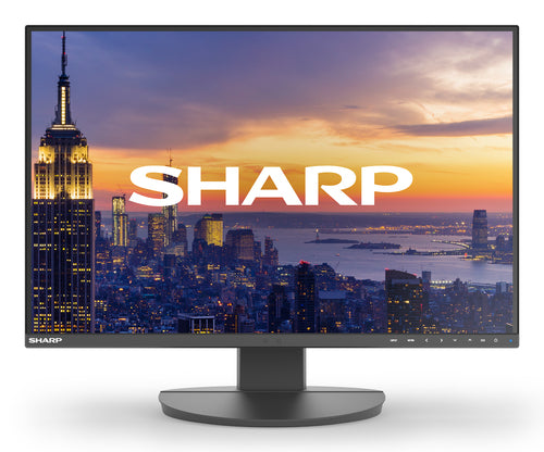 Sharp MultiSync EA242W computer monitor