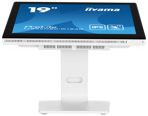 iiyama ProLite T1932MSC-W1SAG computer monitor