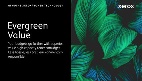 Xerox 006R04821 Genuine Magenta Toner Cartridge for C320/C325 Printers - 1800 Pages