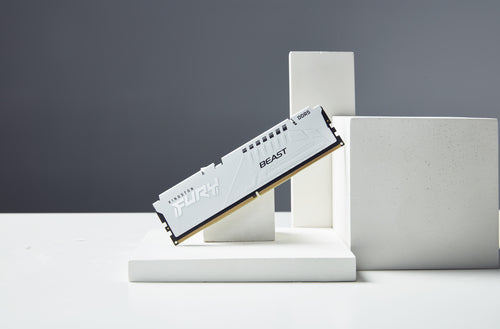 Kingston Technology FURY Beast memory module