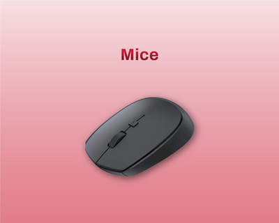 Mäuse