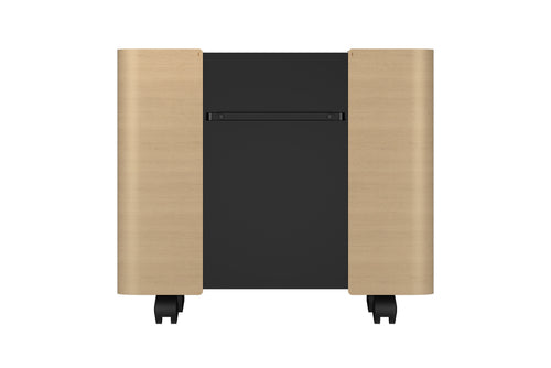 Epson ELPCS01