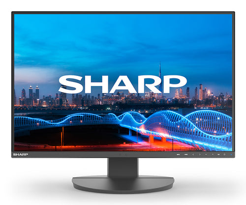 Sharp MultiSync EA241W computer monitor
