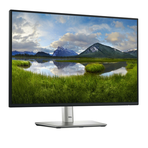 DELL Pro Plus P2425 Computermonitor