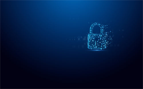 Kingston Technology IronKey Vault Privacy 50 USB flash drive