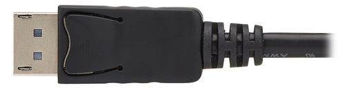 Eaton P580-010-2PK DisplayPort cable