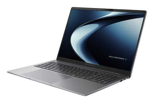 ASUS ExpertBook P3 PM3606CKA-XS54