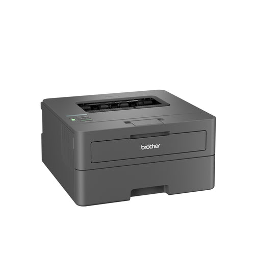 Brother HL-L2400DW laser printer