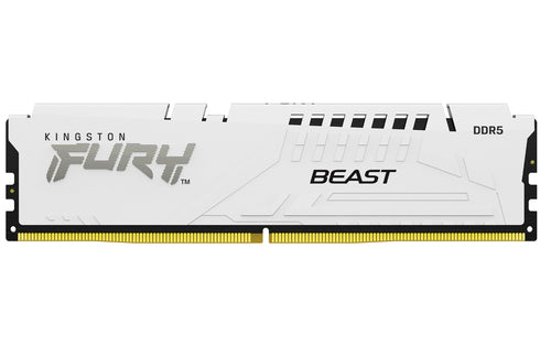 Kingston Technology FURY Beast memory module
