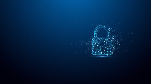 Kingston Technology IronKey D500S USB flash drive