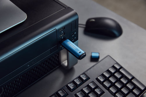 Kingston Technology IronKey Vault Privacy 50 USB-Stick