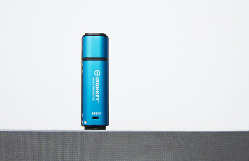 Kingston Technology IronKey Vault Privacy 50 USB-Stick