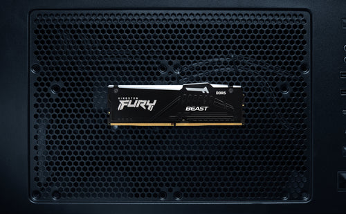 Kingston Technology FURY Beast RGB memory module