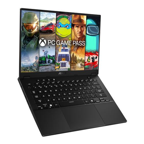 ASUS TUF Gaming A14 FA401UH-RG007W