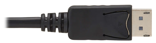 Eaton P580-010-2PK DisplayPort cable