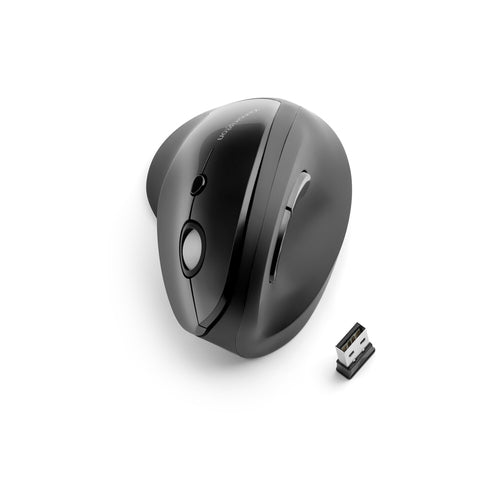Kensington Pro Fit mouse