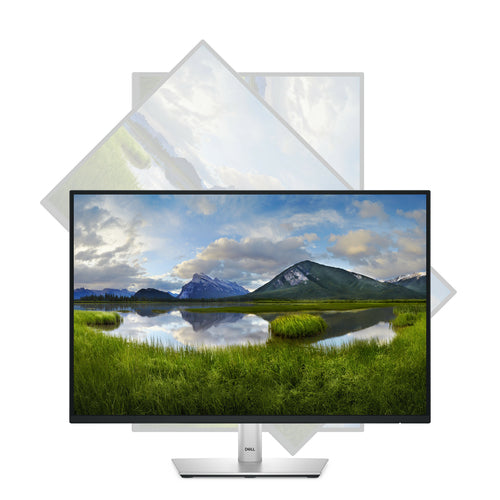 DELL Pro Plus P2425 Computermonitor