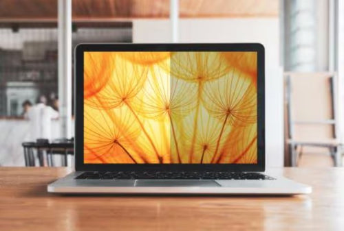 3M BP145W1B Laptop Privacy Filter - 14.5" Frameless Anti-Blue Light Protector