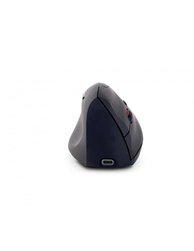 Urban Factory Ergo Next mouse