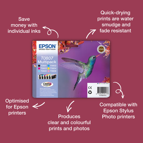 Epson Hummingbird T0805 ink cartridge