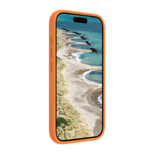 dbramante1928 Grenen MS mobile phone case