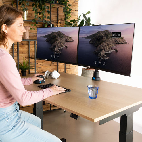 R-Go Tools RGOVLCA4TWSI monitor mount / stand