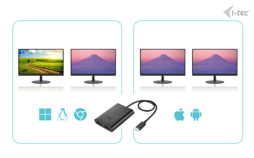 i-tec C31DUAL4K60HDMI USB graphics adapter