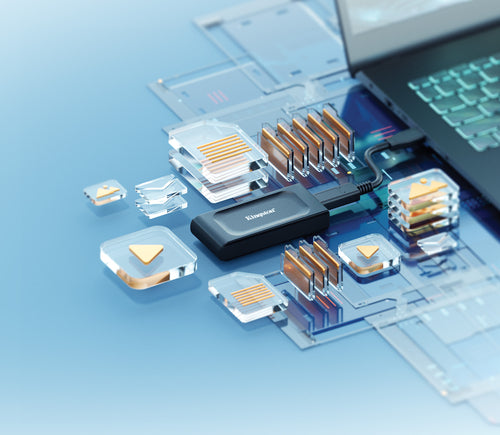 Kingston Technology XS1000