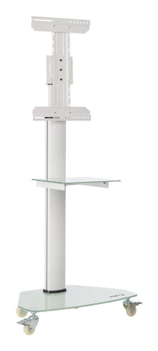 TV Mount Stand 37-70 Inch Adjustable 600x400mm Aluminum Glass White