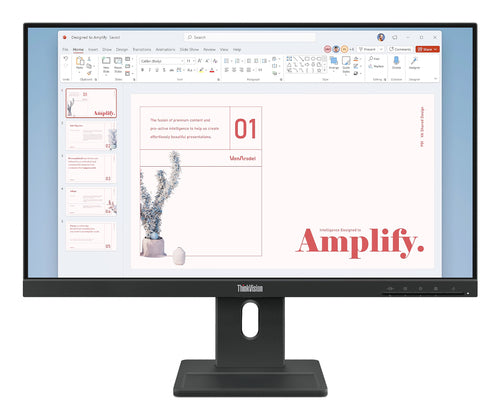 Lenovo ThinkVision E24-40 computer monitor