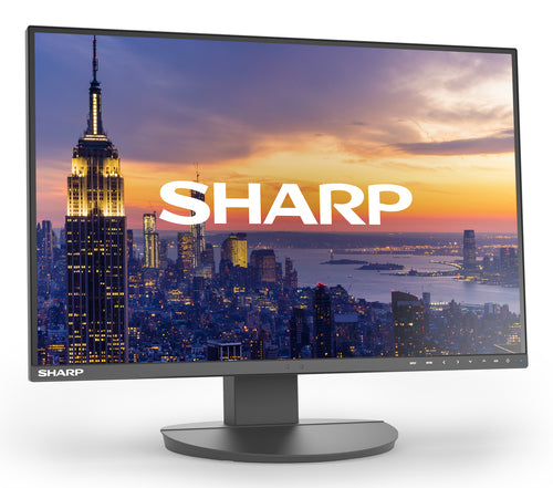 Sharp MultiSync EA242W computer monitor