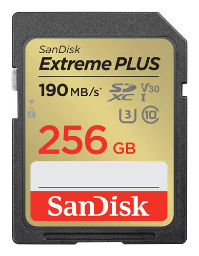SanDisk SDSDXW2-256G-GNCIN