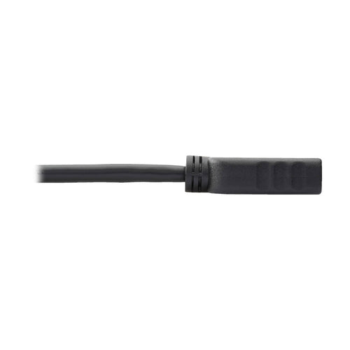 DisplayPort to HDMI Adapter Tripp Lite P136-001 1ft HDCP Male to Male